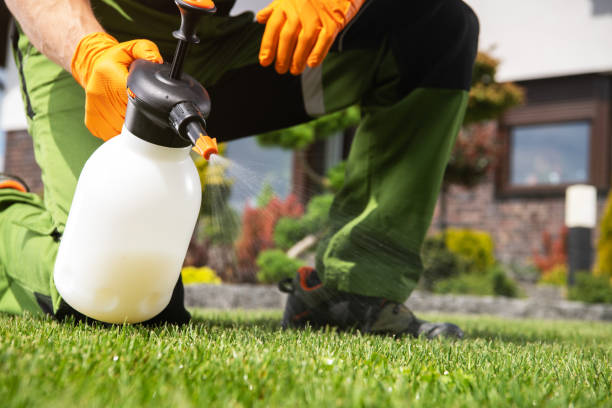  Albany, KY Pest Control Pros