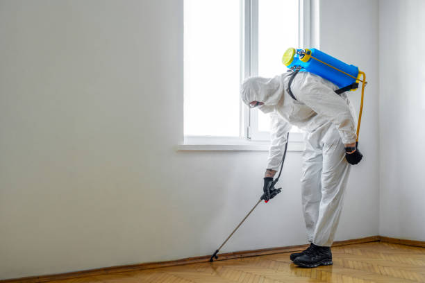 Best Wildlife Control Services  in Albany, KY